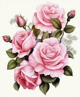 Floral rose pink flowers photo