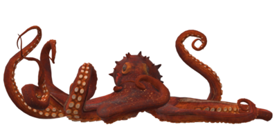 pulpo aislado en un transparente antecedentes png