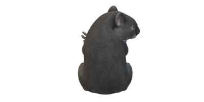 koala ours isolé sur une transparent Contexte png