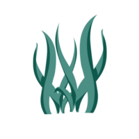 Sea Weed Illustration png