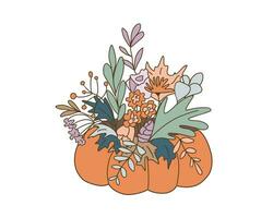 pumpkin bouquet color vector