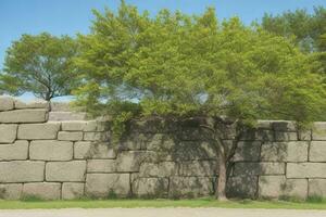 Roca rock pared con un árbol antecedentes. ai generativo Pro foto