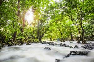 Waterfall scene, beautiful stream filled with rocks flows through a tunnel of trees in forest at Tao Thong Waterfall, Phang-nga, Thailand. Nature photography using long exposure technique. photo