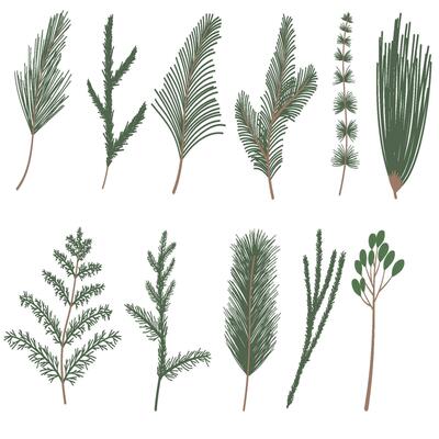 Free Winter Greenery Clipart Set · Pinspiry