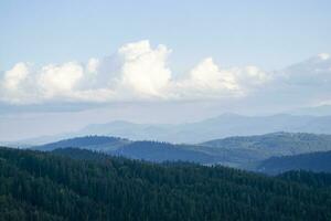 Mountain landscape with forest in the Carpathian mountains of Ukraine. photo