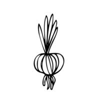 Hand drawn onion sketch. Black silhouette of a whole bulb isolated on a white background. Organic vegetarian product drawn in cartoon style. Vector illustration.