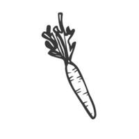 carrot doodle icon vector illustration