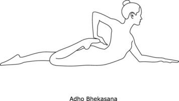 Girl doing yoga. Asana Adho Bhekasana. Line art in sketch style isolated on white background vector