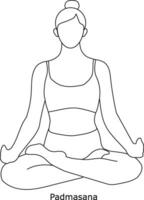 Girl doing yoga. Asana padmasana. Line art in sketch style isolated on white background vector