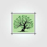 natural roble árbol Clásico logo icono insignia, ilustración diseño de roble árbol con hojas, financiero negocio símbolo vector