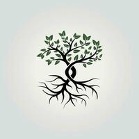 natural tree logo concept with root icon vector design, illustration of the tree growth process from roots to leaves