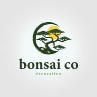 circulo bonsai logo vector con sol, ilustración diseño de puesta de sol y bonsái, negocio marca icono