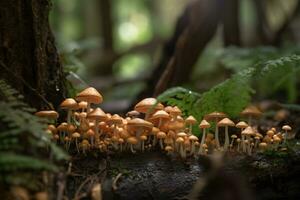 a group of mushrooms sitting on top of a forest floor. generative ai photo