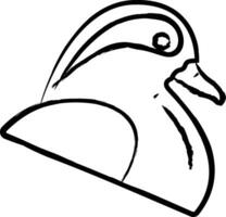 Mandarin duck bird hand drawn vector illustration