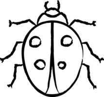 Ladybug hand drawn vector illustration