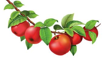 Apple fruits in red color vector shape for background design.