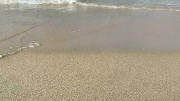 mare acqua sabbia natura autunno spiaggia viaggio oceano paesaggio cielo estate. costa autunno sfondo sole vacanza onda all'aperto blu bellissimo leggero costa giorno. soleggiato panoramico orizzonte luce del sole luce del sole. video