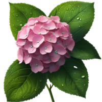 A painting of Hydrangea flower and leaves. AI-Generated. png