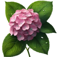 en målning av hortensia blomma och löv. ai-genererad. png