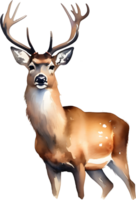 Watercolor painting of a deer. AI-Generated. png