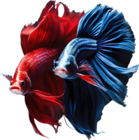 uma pintura do uma betta peixe. gerado por ai. png