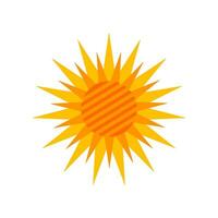 sun icon graphic vector design illustration