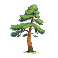 Pine Tree Hand Drawn Cartoon Style Illustration AI Generated png