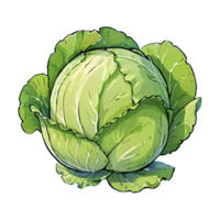 Cabbage Vegetable Drawn Cartoon Style Illustration AI Generated png