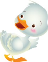 cute animal cartoon little duck png