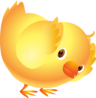 mignonne animal dessin animé peu poulet png