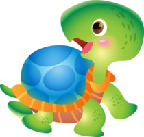 Cartoon smiling turtle. Funny little turtles png