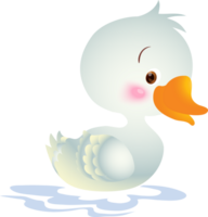 cute animal cartoon little duck png