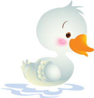 linda animal dibujos animados pequeño Pato png