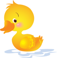 mignonne animal dessin animé peu canard png