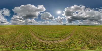 spherical 360 hdri panorama among green grass farming field with storm clouds on blue sky in equirectangular seamless projection, use as sky dome replacement, game development as skybox or VR content photo