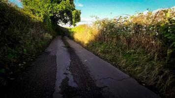 Tranquil Forest Pathway in the Heart of Nature video