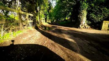 still Wald Weg im das Herz von Natur video