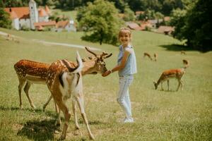 Little girl among reindeer herd on the sunny day photo