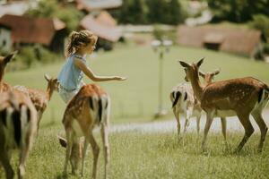 Little girl among reindeer herd on the sunny day photo