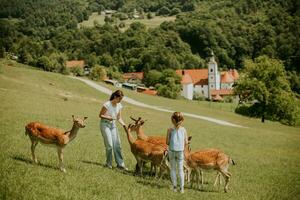 Little girls among reindeer herd on the sunny day photo