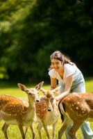 Little girl among reindeer herd on the sunny day photo