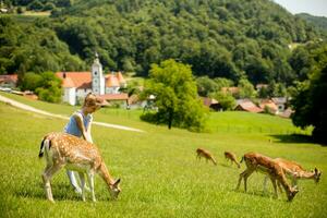 Little girl among reindeer herd on the sunny day photo