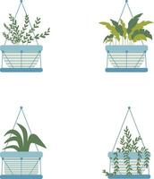 Hanging Potted Plant In White Background. Vector Illustration Set.