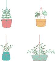 Hanging Potted Plant For Home Decoration. Isolated Vector Set.