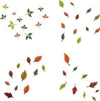 Fallen Autumn Leaves In White Background. Vector Illustration Set.