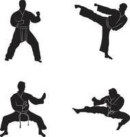 Karate Fighter In Different Pose. Isolated Vector Set.