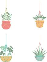 Hanging Potted Plant For Home Decoration. Isolated Vector Set.