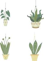 Hand Drawn Hanging Potted Plant. Isolated Vector Set.