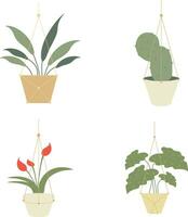 Hand Drawn Hanging Potted Plant. Isolated Vector Set.