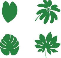 Hand Drawn Exotic Palm Leaves. Palm Leaf, Coconut Leaf, Banana Leaves, etc. Vector Illustration Set.